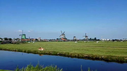 全球聚焦！中國國際進口博覽會倒計時6天，澳優(yōu)將攜這兩大明星品牌亮相3