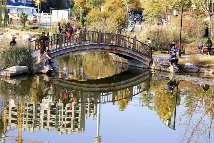 童年期多接觸自然 成年后心理更健康