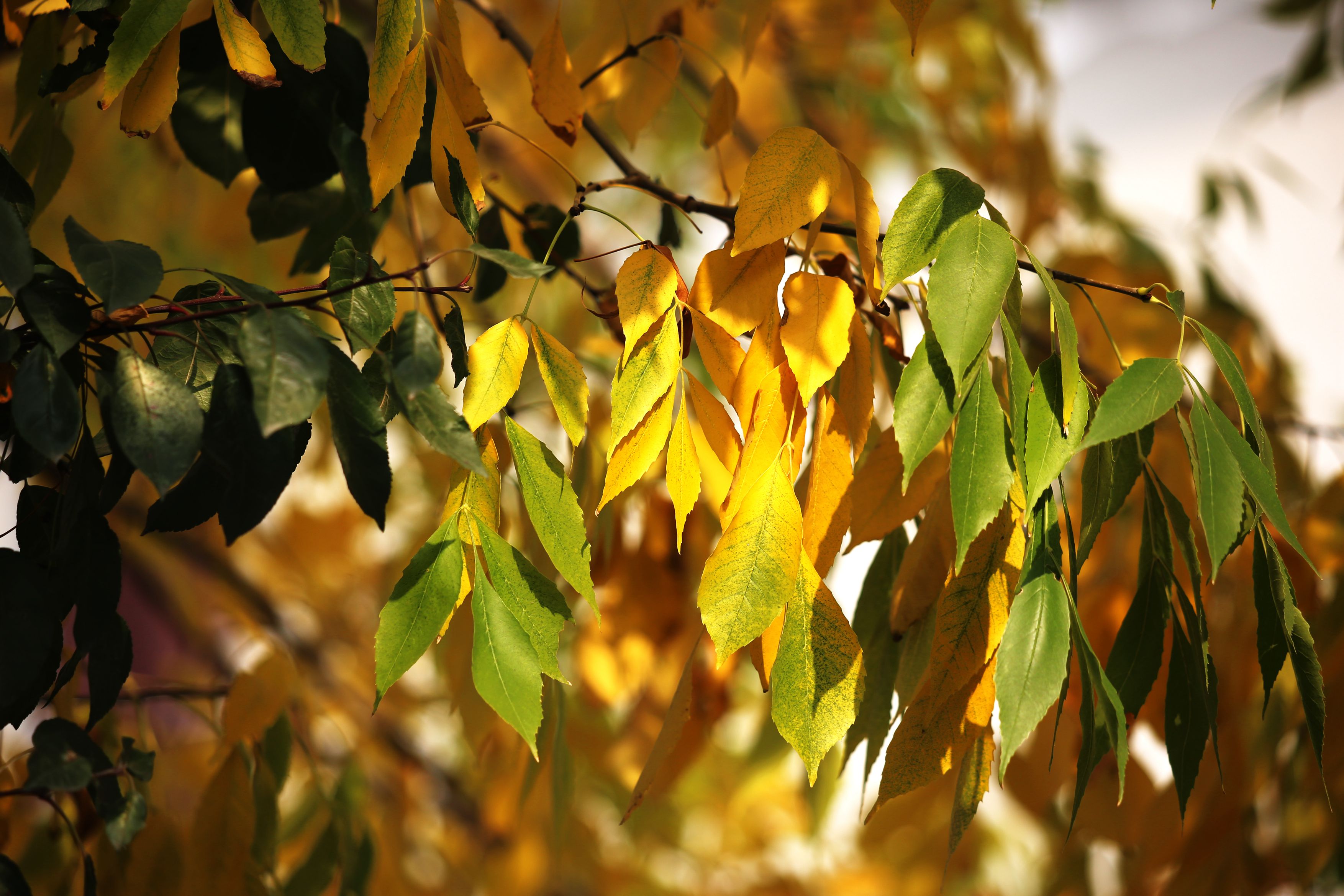 為什么家長(zhǎng)發(fā)現(xiàn)不了安全隱患？多站在兒童的高度和角度來想