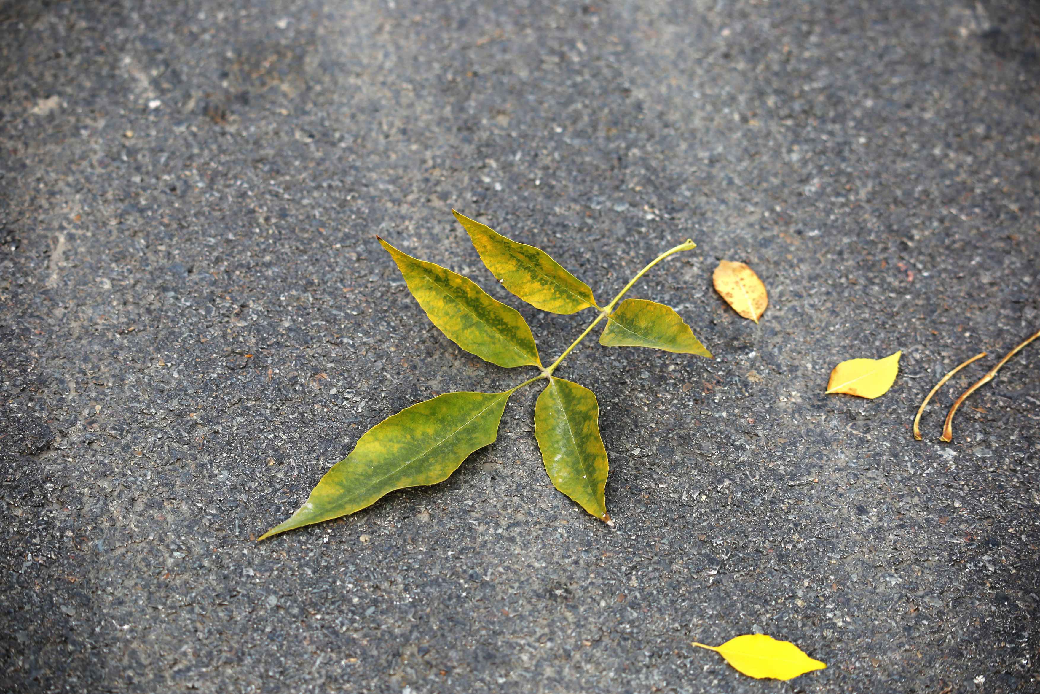 父母對(duì)子女撒謊 當(dāng)心這個(gè)習(xí)慣會(huì)“傳染”