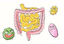 孩子一受涼就拉肚子到底是怎么回事？