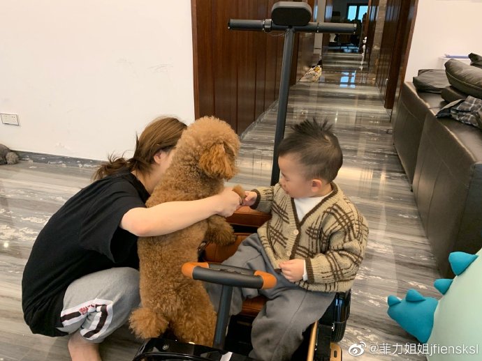 萌萌噠?。⒕W紅＂雪梨兒子開玩具車，和狗狗握手手