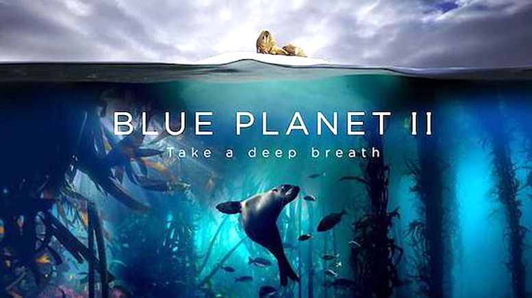 別看動(dòng)畫片了 這幾部紀(jì)錄片一定要陪孩子看