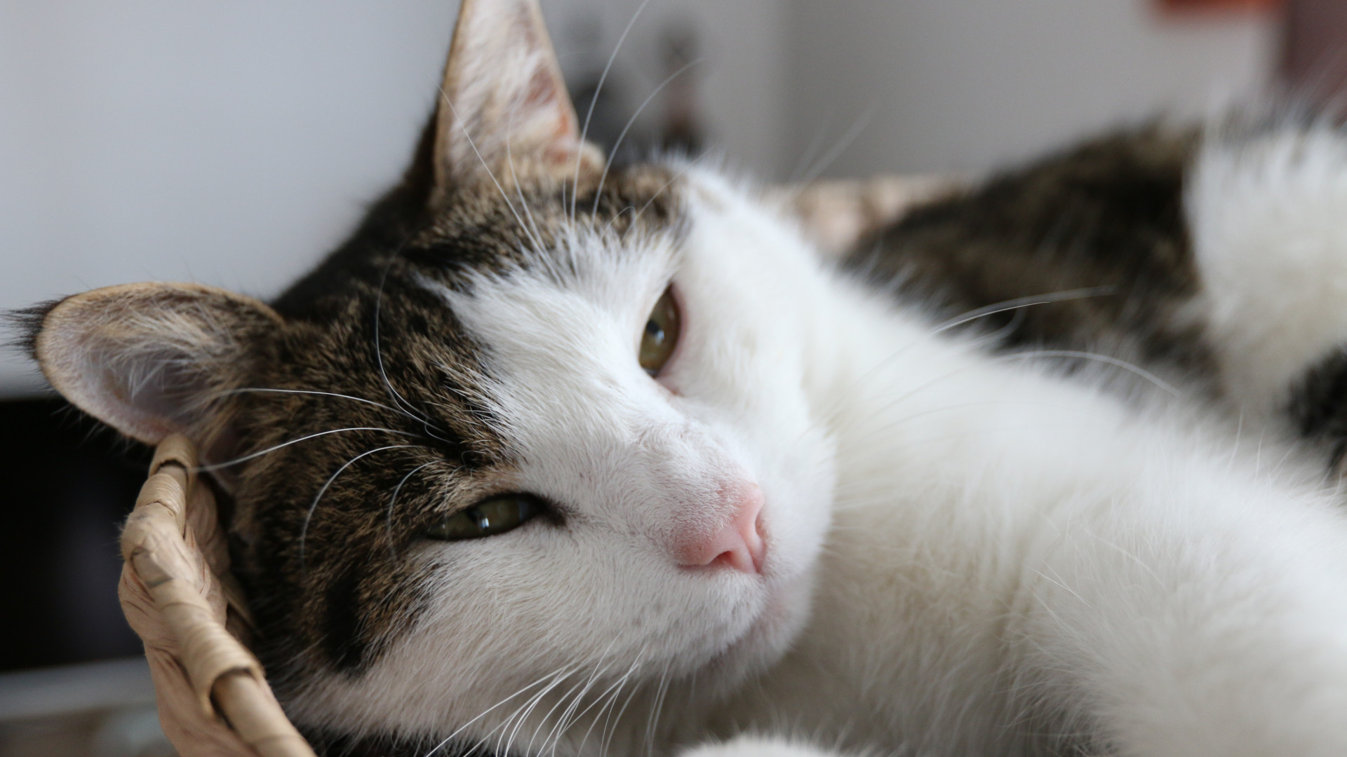 寶爸的育兒假離我們還有多遠(yuǎn)？