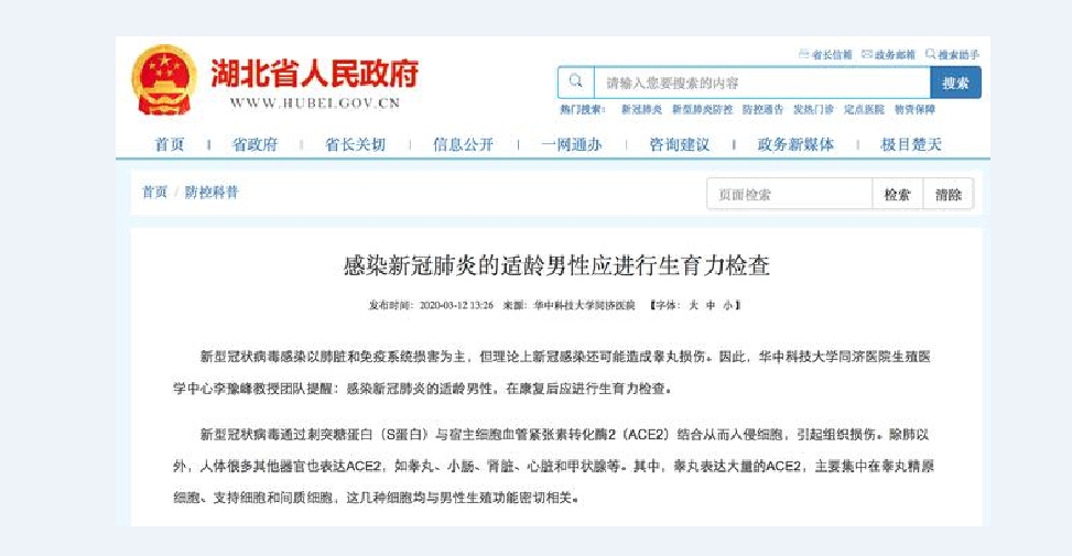 湖北省政府：感染新冠肺炎的適齡男性應(yīng)進(jìn)行生育力檢查