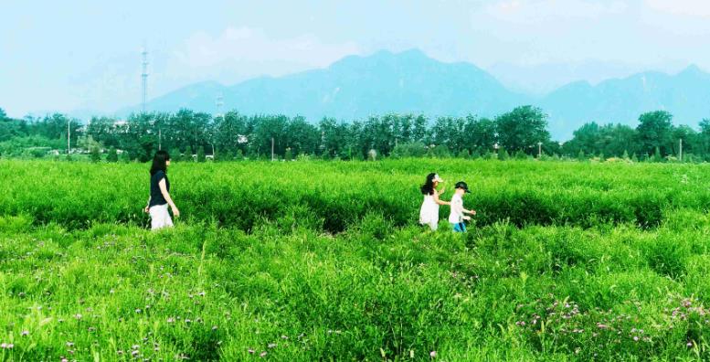 孩子眼中媽媽的十大“幼稚”言行 你有沒有中標(biāo)？