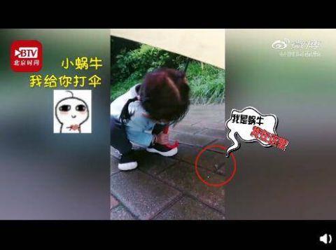 4歲小女孩為蝸牛撐傘 純真爆棚網(wǎng)友稱贊“太溫暖”