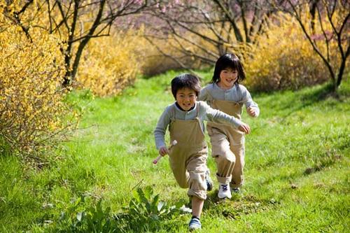 夏季植物美學體驗 讀繪本帶孩子認識神奇自然