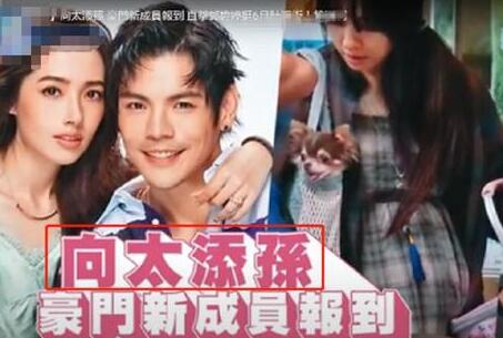 臺媒曝郭碧婷懷孕 6個月肚子隆起很明顯