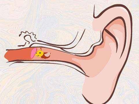 科學(xué)預(yù)防丨小孩耳朵進(jìn)了蟲子家長應(yīng)該怎么做?