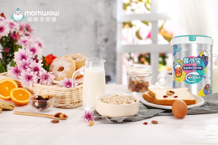 菌小寶乳酸菌羊奶粉 營養(yǎng)高品質(zhì)羊奶粉首選