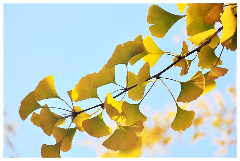 入秋謹(jǐn)記“4要2不要”，孩子健康生病少