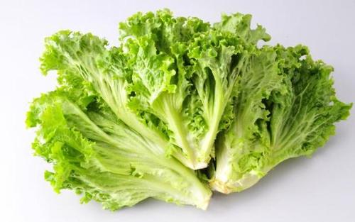 雞肉和生菜還有這么奇妙的搭配，你知道嗎？