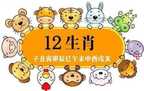 這些生肖的寶寶，生來(lái)就是報(bào)恩的！