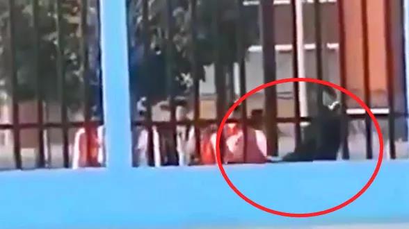 支教老師連踹小學(xué)生，你可知道何為為人師表？