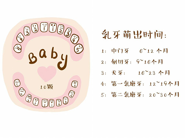 寶寶出牙期怎么護(hù)理？飲食方面千萬別大意