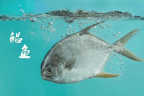 給孩子吃魚有講究，這幾種魚要遠離