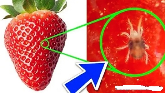 給孩子買水果的家長要注意了，這幾種水果不能買！