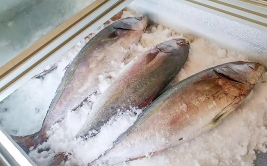 魚肉雖有營養(yǎng)，但家長千萬不要給孩子吃這幾類魚