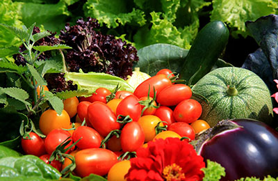 寶寶不愛(ài)吃蔬菜？四招幫你搞定