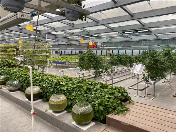 中小學生勞動教育和職業(yè)啟蒙教育：從“看熱鬧”到“懂門道”