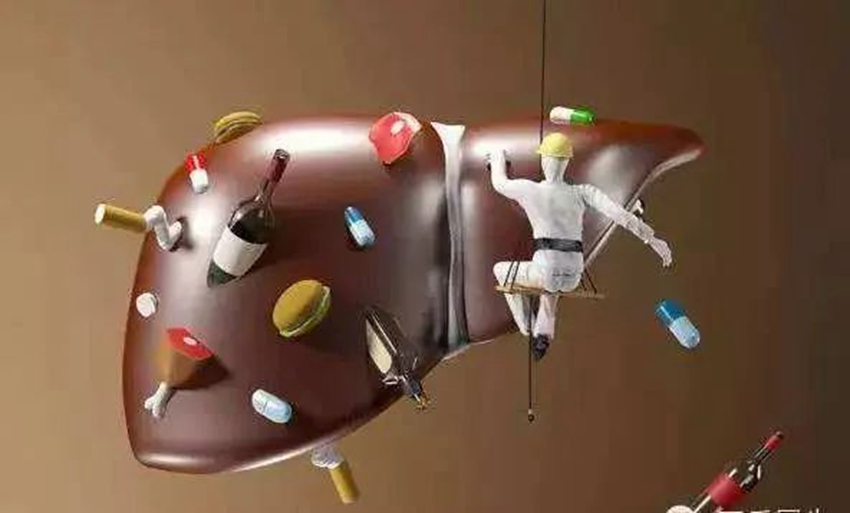 如何保護我們的“人體化工廠”——肝臟，解放軍總醫(yī)院肝病專家來支招