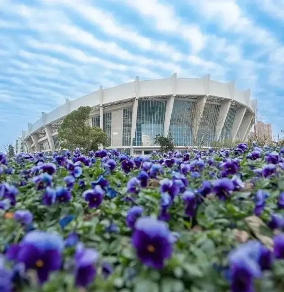 12個(gè)飲食和運(yùn)動(dòng)的建議，助你開啟更強(qiáng)大的兔年