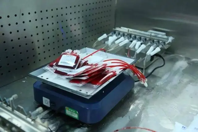 孕媽媽專屬！存臍帶血的用途知多少！