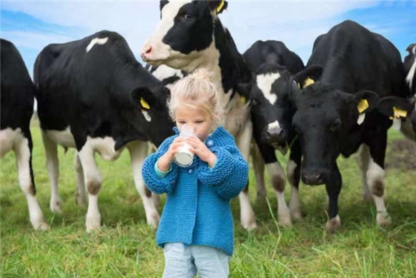 進(jìn)口奶粉哪個比較好？能立多重磅上新  助力寶寶更好消化吸收