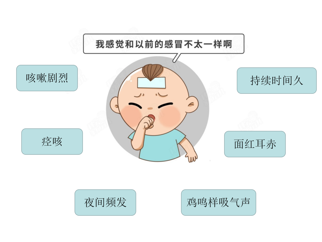 【微科普】“肺”常時(shí)期，“咳”不容緩