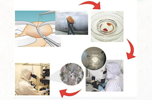 熱播臺(tái)劇《童話故事下集》揭露男性不孕，禾馨宜蘊(yùn)朱伯威院長權(quán)威解答