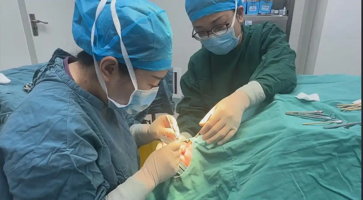 13歲少年雙眼竟成“螨蟲窩”！醫(yī)生提醒：這種生活習慣最招蟲